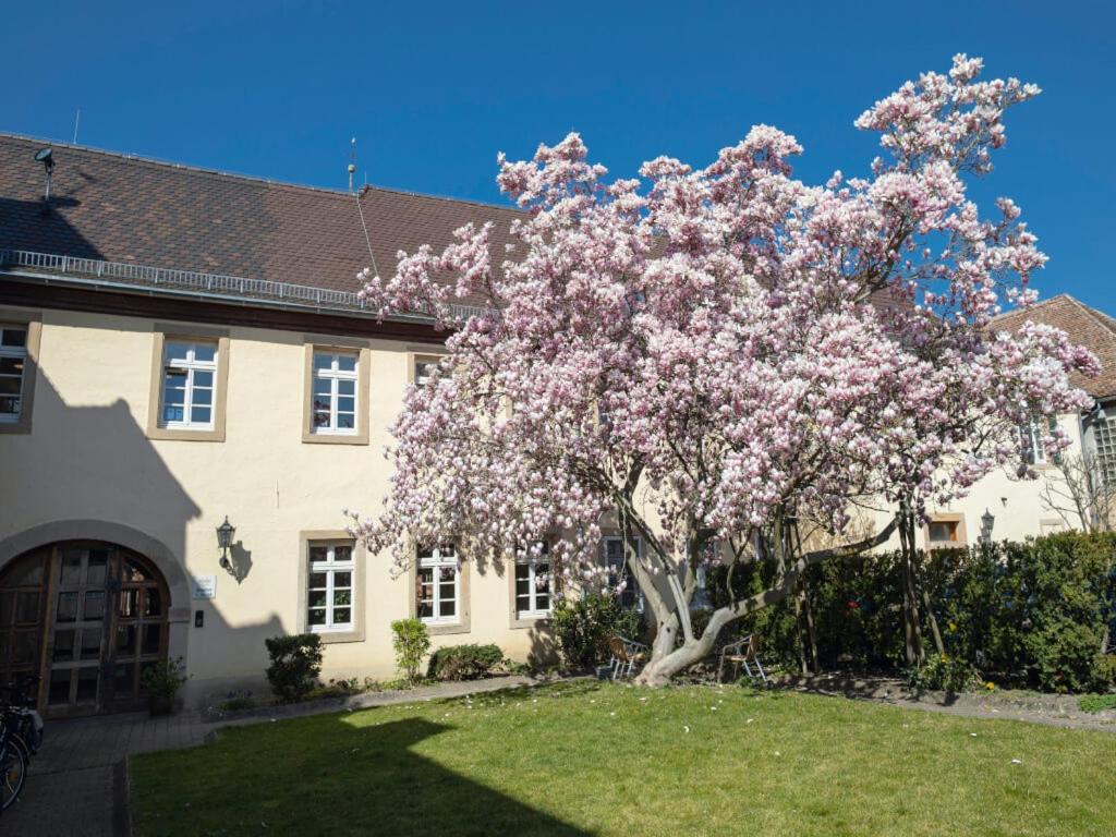 Hotel&Café Ritter von Böhl Deidesheim Exterior foto